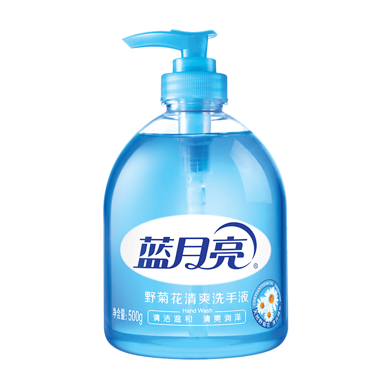 蓝月亮洗手液 家庭装瓶装 清爽去油去腥 保湿护手 清香型洗手液 500g*1瓶 +500g*1瓶补