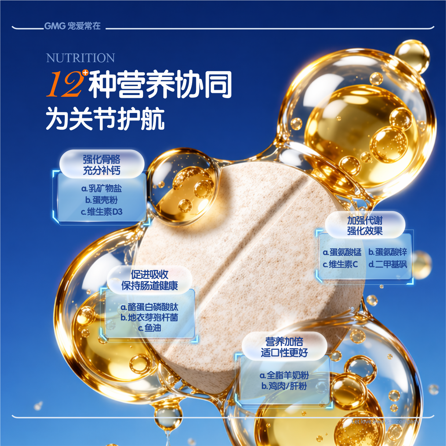 GMG软骨素氨糖鲨鱼猫狗健骨补钙宠物钙片关节修护专用营养品 【养护版】保养入门 120粒*1瓶