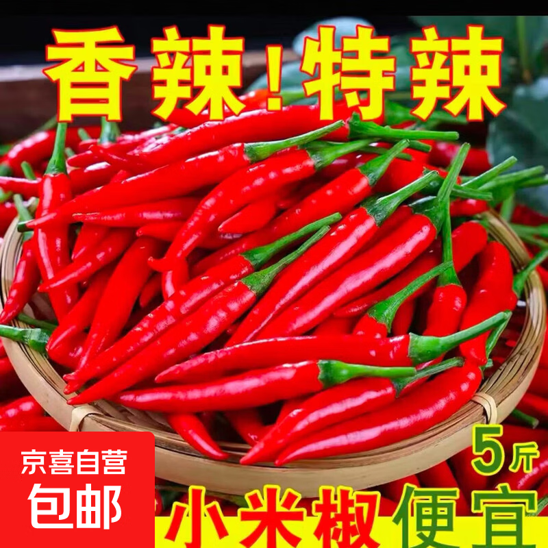小米椒新鲜特辣朝天椒现摘现发包邮 少量款净重1斤