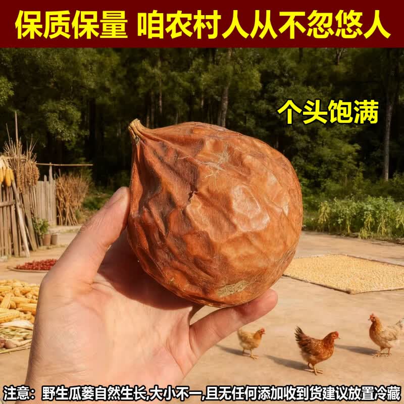 同仁堂（TRT）全瓜蒌中药材干货深山瓜蒌自然晒干无薰硫整个瓜蒌果新货精选瓜蒌 500g一斤[精选大整个瓜蒌] 1袋*1袋