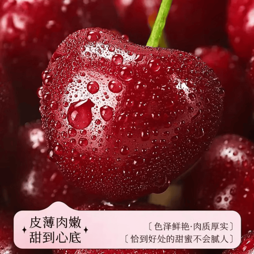 鲁禧头茬山东大樱桃 国产车厘子樱桃水果 新鲜水果时令生鲜现采现发 4斤(净重) 带箱5斤家庭特惠装22-26mm