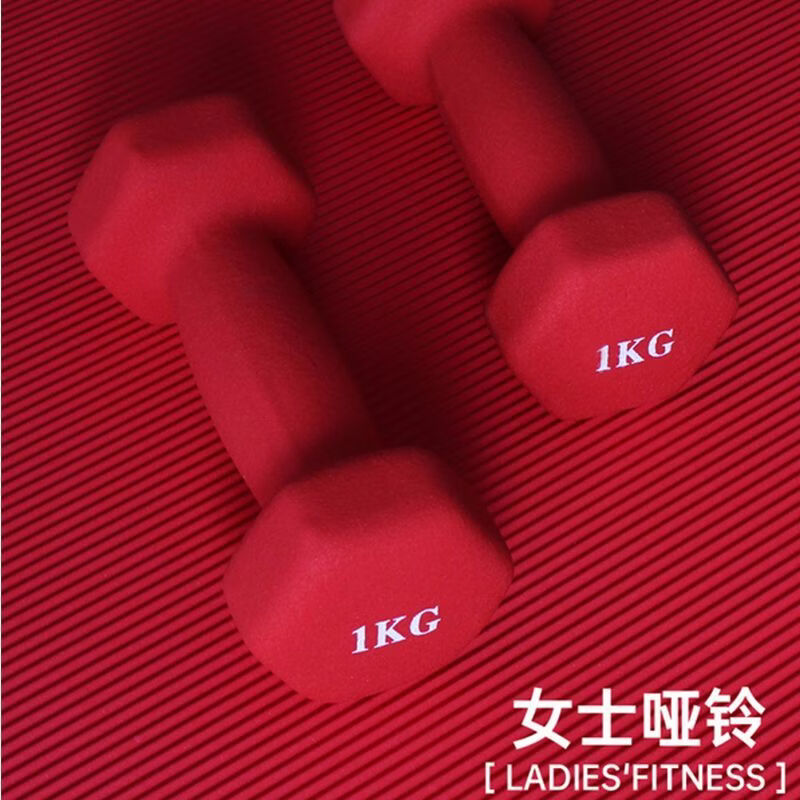 哑铃女士健身家用器材哑铃男士健身家用器材实心家用哑铃2kg一对 紫色 0.5kg仅一只