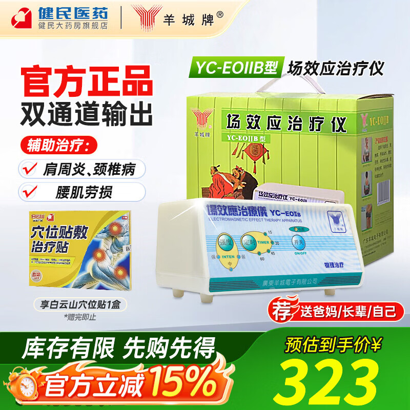羊城牌 场效应治疗仪YC-EOIIB型 肩周炎颈椎病腰肌劳损热敷家用理疗仪 【标配】羊城型号YC-EOIIB（双通道）