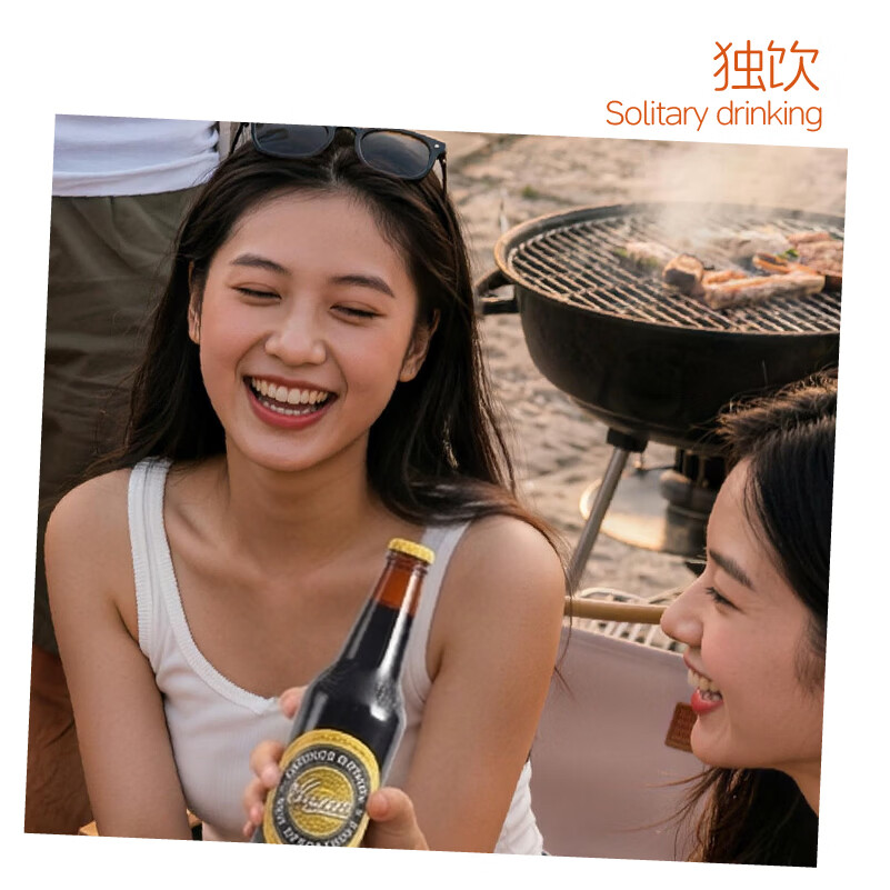 Easycheers啤酒组合装全进口高端多国精酿啤酒礼盒白啤ipa黑啤无醇混合啤酒 全进口组合 330mL 12瓶 礼盒装