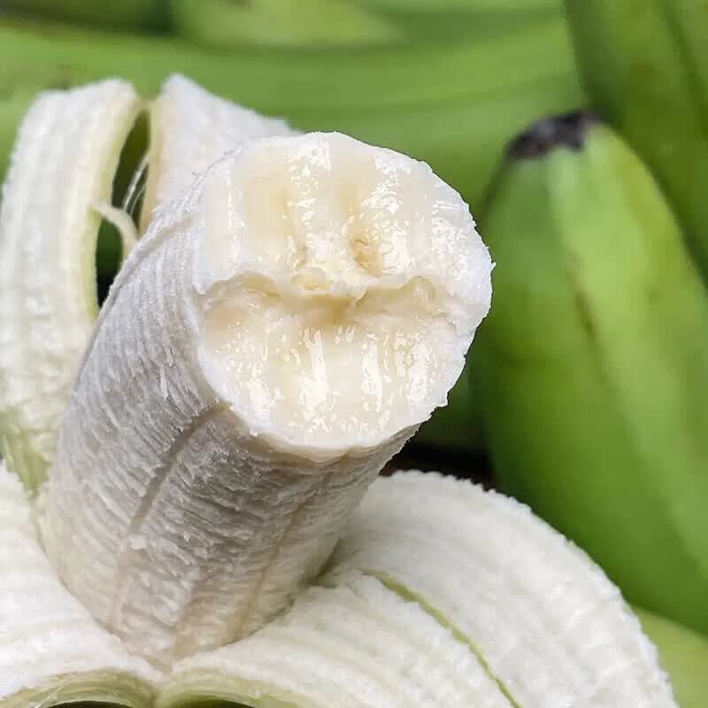 东鲜丰云南青香蕉新鲜高山香蕉水果国产香蕉 净重4.5斤【人工挑选】