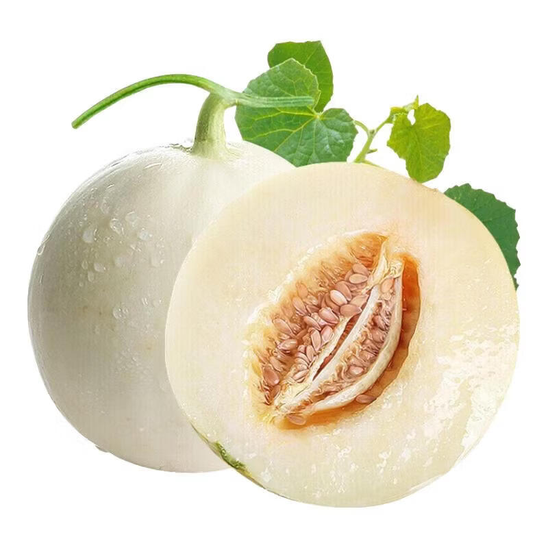 果食鲜丰陕西阎良甜瓜 新鲜头茬甜瓜水果应季现摘脆甜蜜瓜白瓜香瓜整箱 净重4.5-5斤装【精品装】