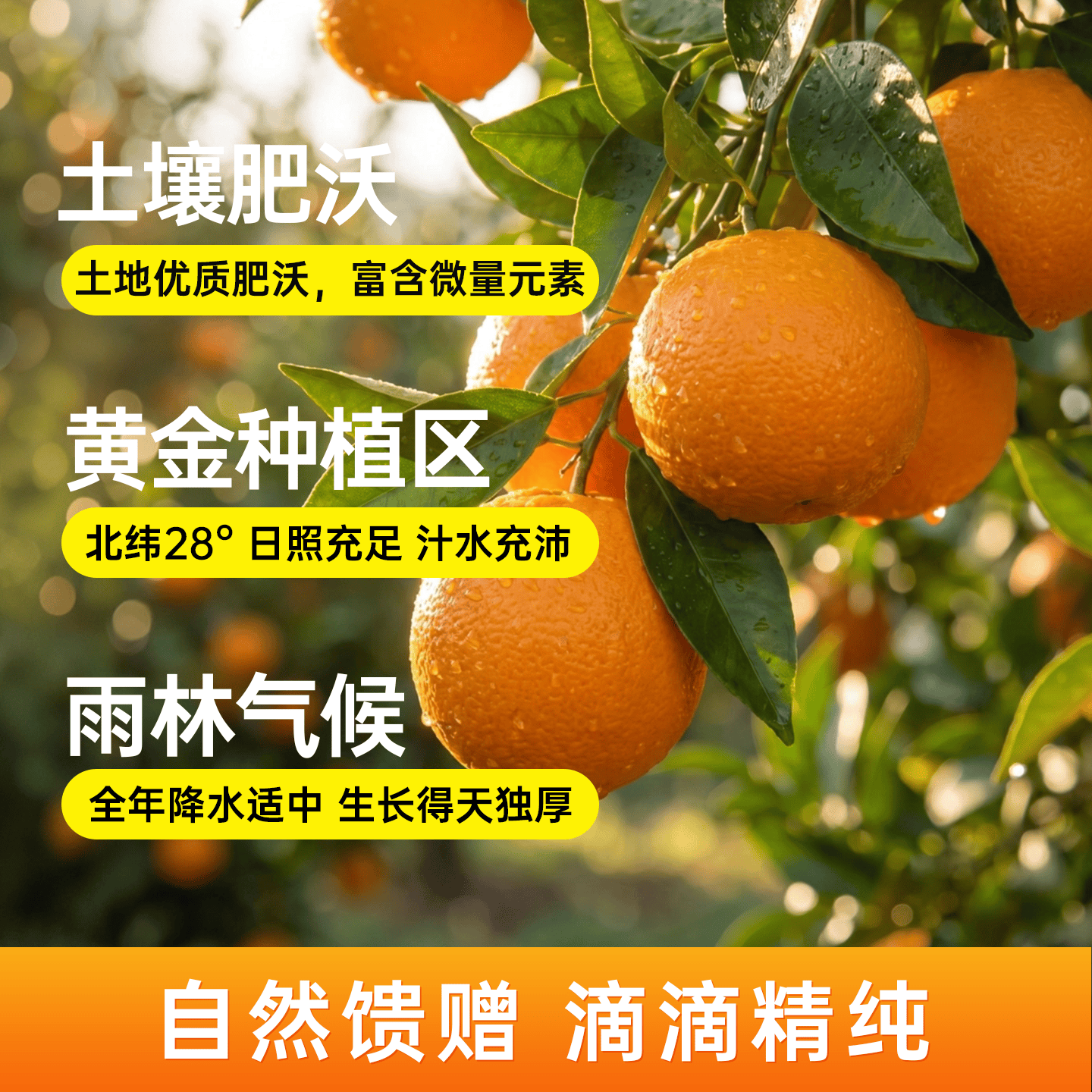 真果每刻100%鲜榨橙汁含NFC橙子汁低温冷藏鲜果饮料纯果蔬汁 125ml*20盒整箱
