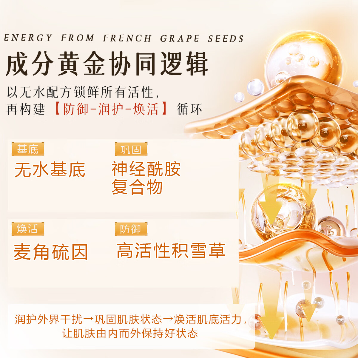 ZRZR法国葡萄籽精华30ml面部护肤抗皱紧致保湿精华液滋润舒缓肌肤 30ml*5瓶