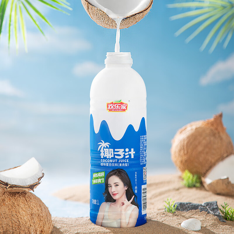 欢乐家 大瓶椰子汁 果肉型植物蛋白饮料 椰奶椰汁饮品 宴会聚会正品整箱 【4瓶】椰子汁1L*4瓶