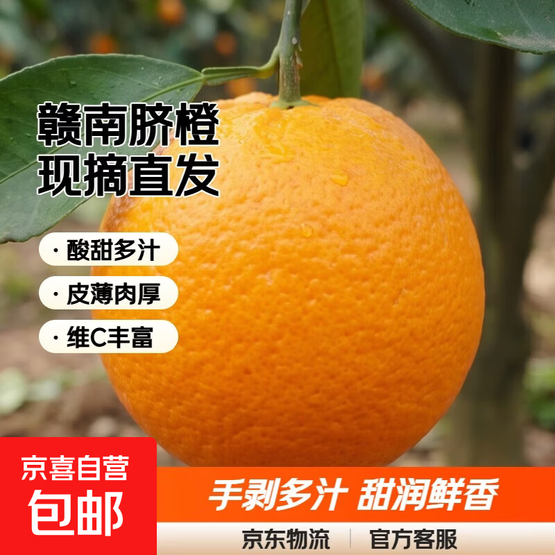 正宗赣南脐橙新鲜橙子当季水果现摘赣州脐橙手剥甜橙多汁产地直发 带彩箱10斤装大果