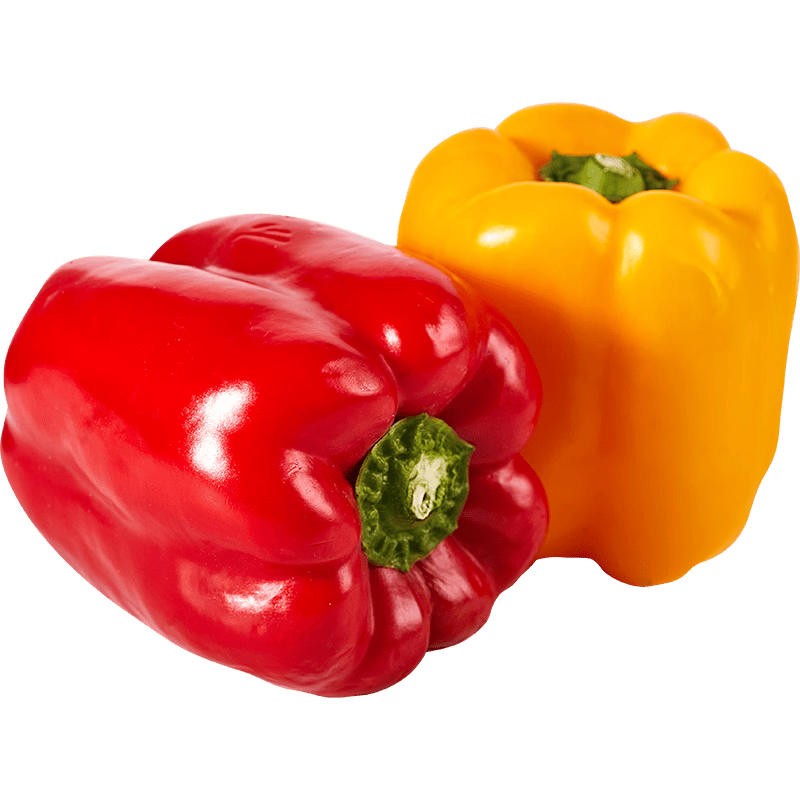 ���ڲ����������� ˫ɫ��ʽ� ����3�� ����120g�� Բ���� Դͷֱ�� 17.9Ԫ