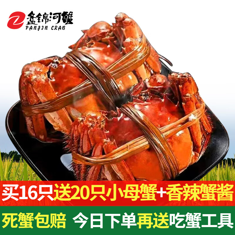 盘锦河蟹（PANJINCRAB）蟹类