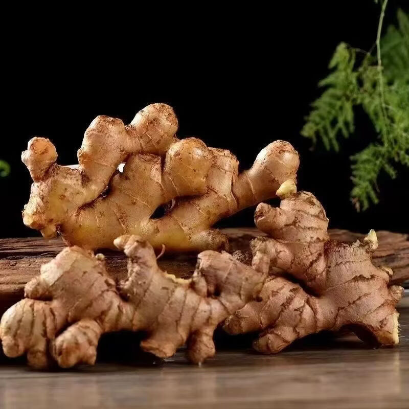 【云南小黄姜】新鲜现挖小黄姜两年特级小黄姜农家原生态带箱五斤 带箱五斤两年老姜