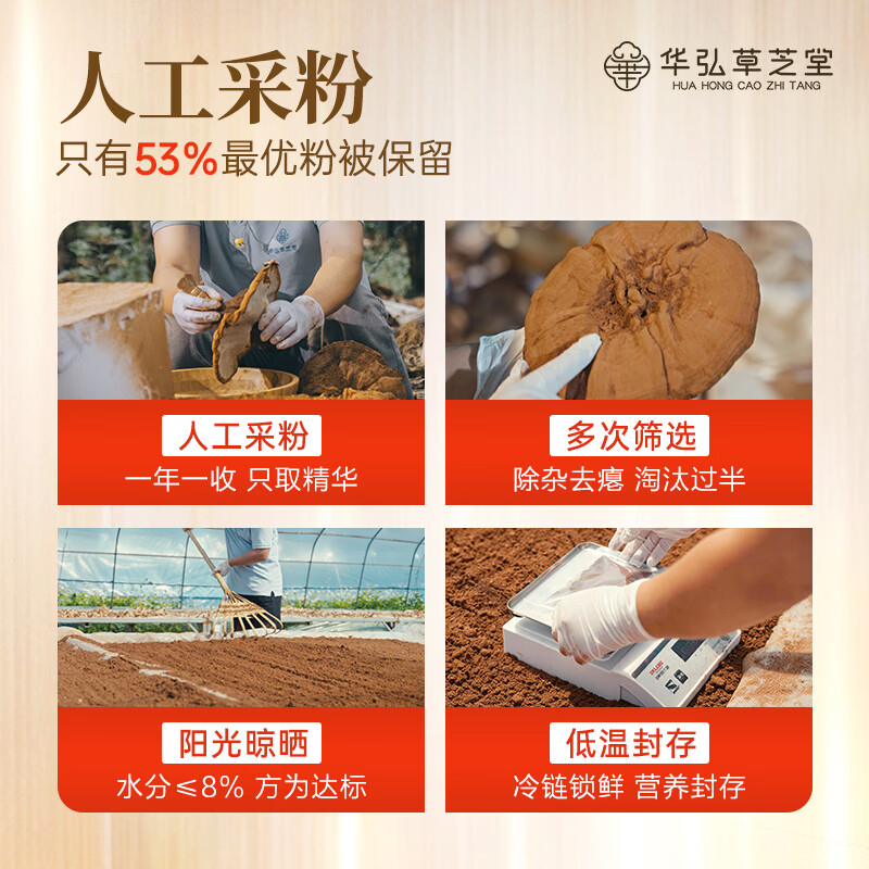 华弘草芝堂破壁灵芝孢子粉蓝帽高三萜 3大有机认证增强免疫力 营养保健品 【提前加购 入会下单有礼】1g*20条