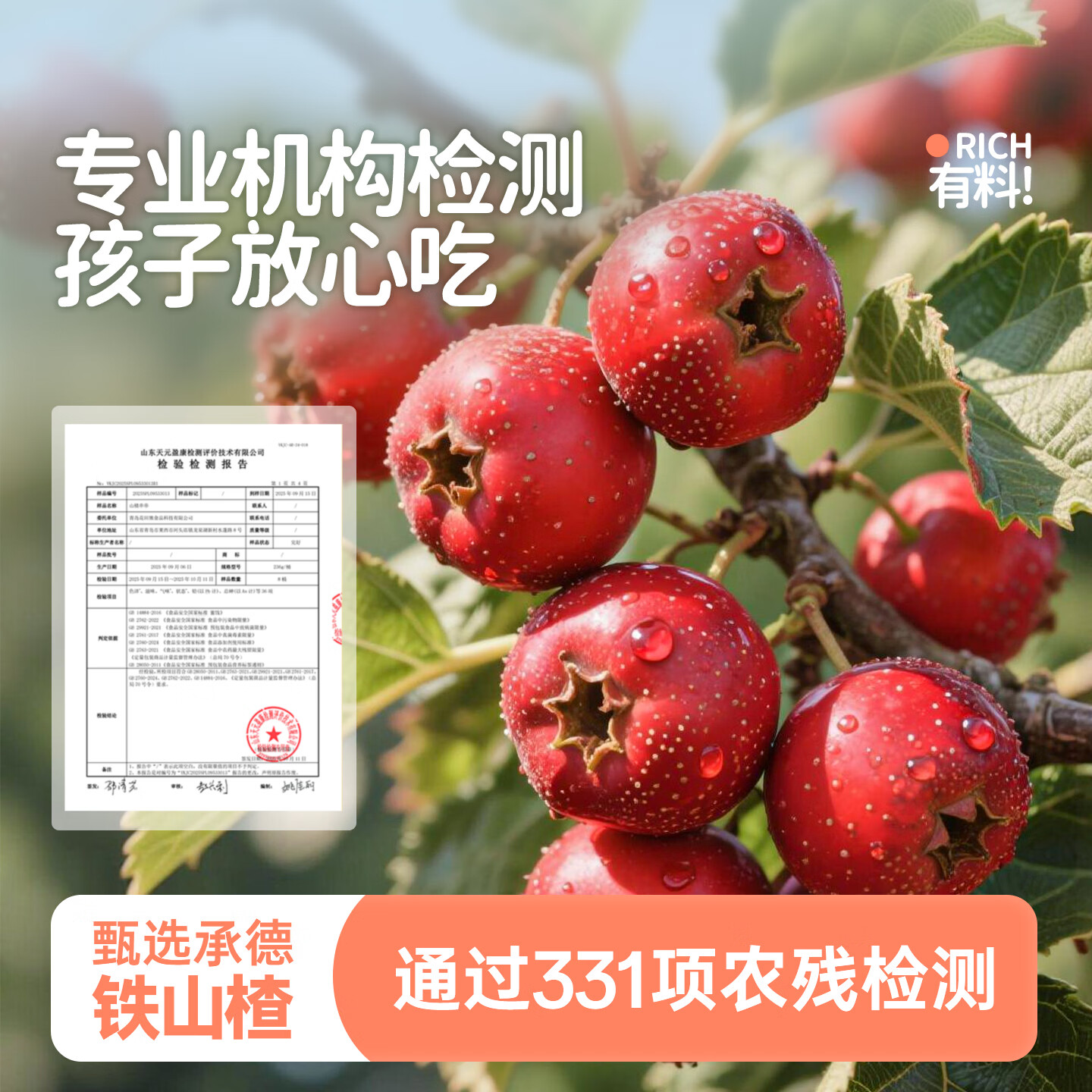 花田熊山楂棒棒糖串串糖葫芦儿童零食宝宝山楂糕山楂干条0添加果胶 家庭乐享桶装236g*3桶