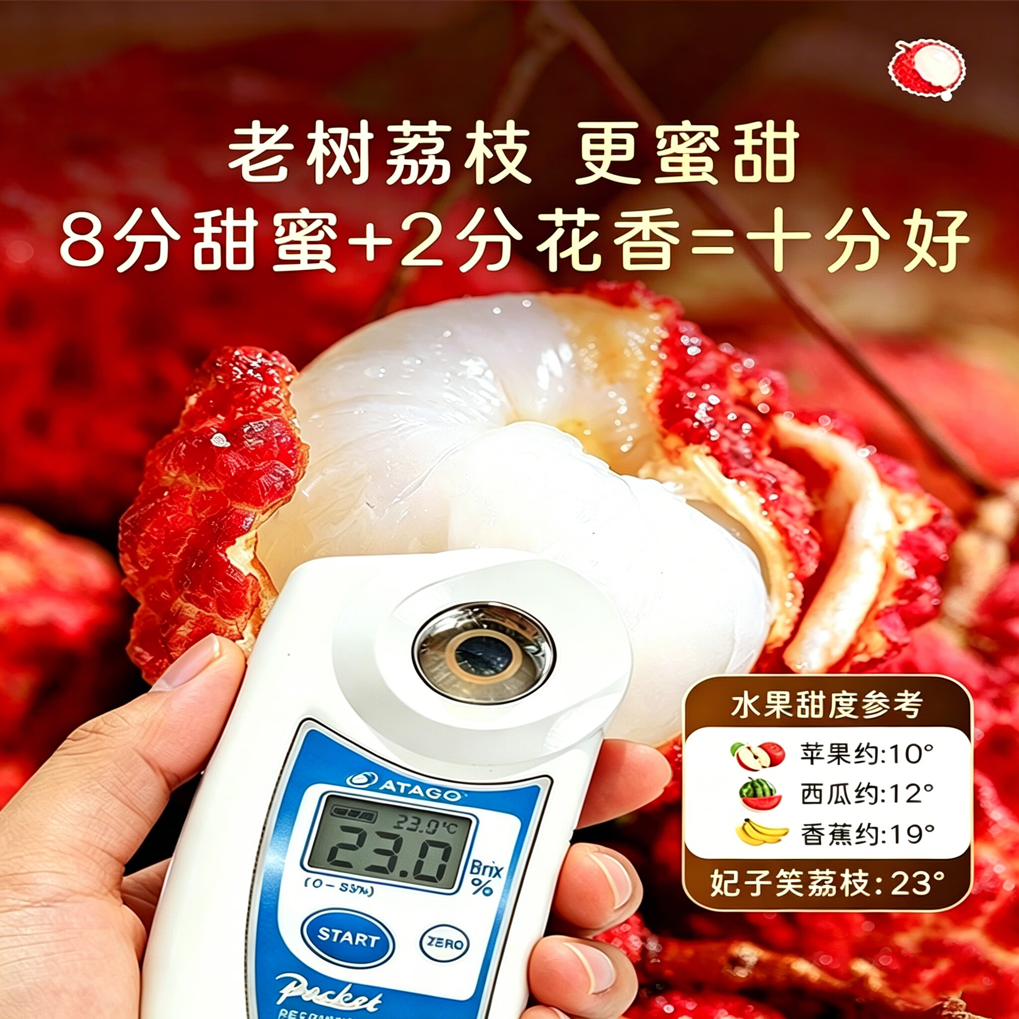 小筑倾橙海南妃子笑荔枝【顺丰冷链】海南新鲜孕妇端午水果礼盒当季整箱 5.5斤中果实惠优选带箱 净果4.6斤