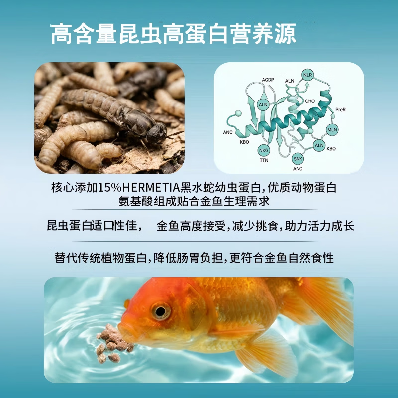 JBL金鱼饲料兰寿泰狮增体增色育成色扬主食昆虫高蛋白不挑嘴长大鱼食 金鱼增色抗病益生元软条100ML/38g