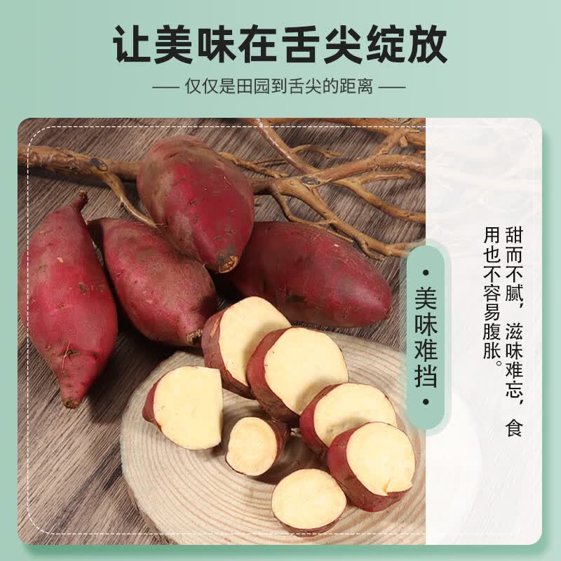 湛江现挖海山香薯新鲜蜜薯低脂粗粮代餐黄心香甜番薯软糯烤地瓜 【粉糯香甜】正宗湛江榴莲蜜薯5斤装