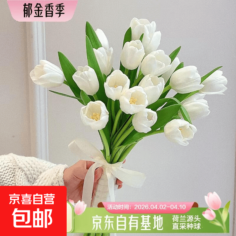 京喜自营鲜花合集：9.9元起抢云南直发郁金香，珍珠白/随机色任选