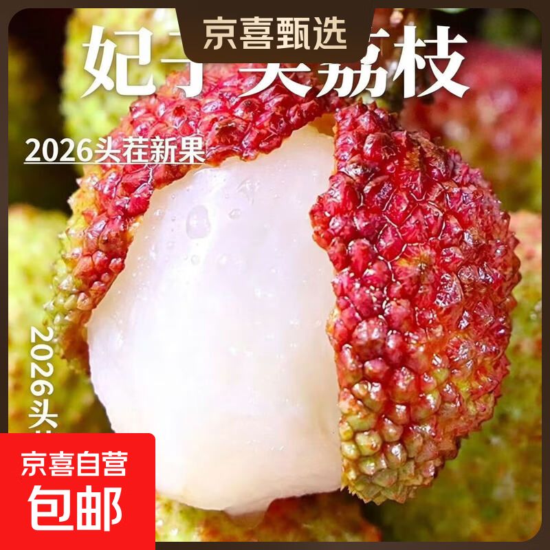 应季整箱正宗妃子笑荔枝新鲜产地直发水果当季整箱正宗小核鲜荔枝 5斤（净重4斤起）单果12-16g