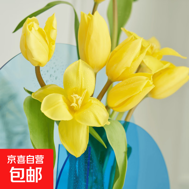 郁金香鲜花随机色云南源头直发1 随机色郁金香鲜花10枝