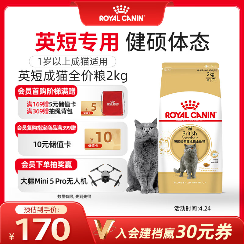 皇家猫粮 英短成猫粮 BS34 通用粮 12月以上 2KG
