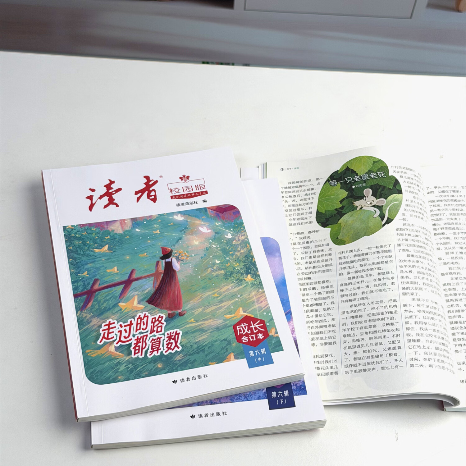 读者校园版成长合订本 初高中学生作文素材美文 【第六辑】《读者》（校园版）合订本（到手3本）