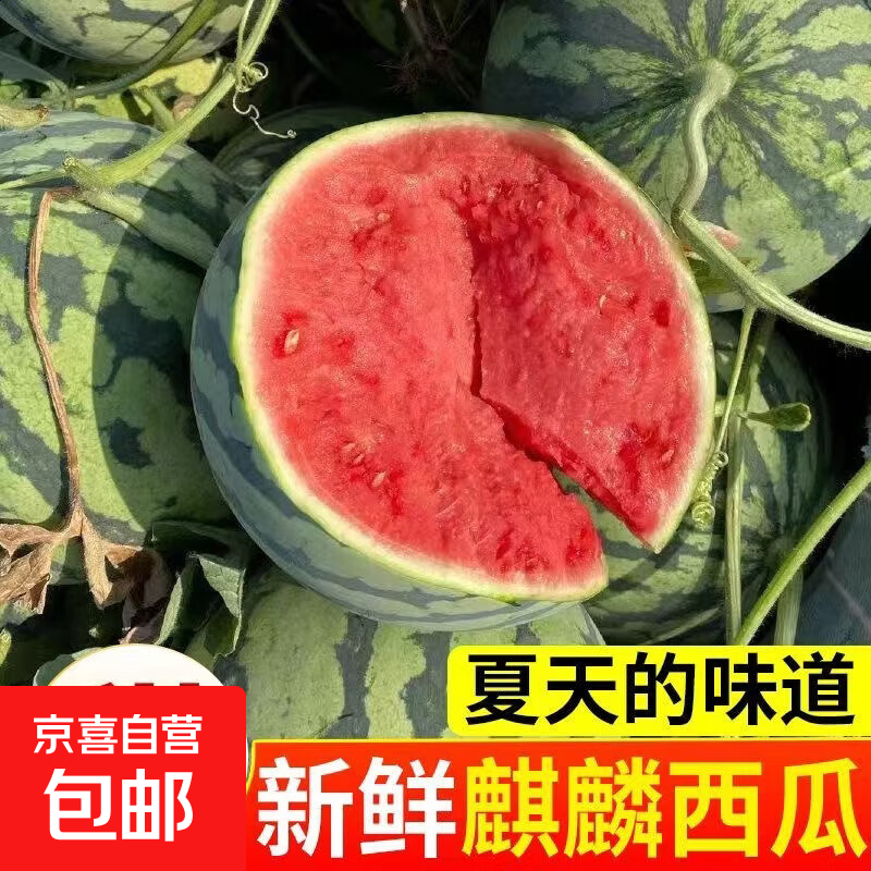 麒麟西瓜净重5-7斤 16.9元 - 线报酷
