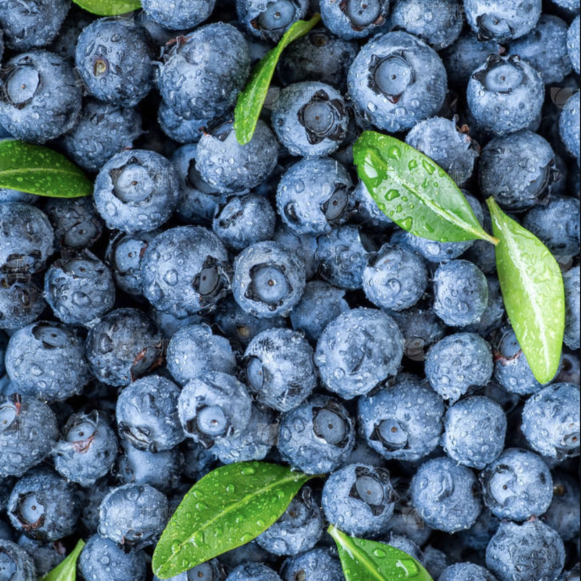 【云南特产】正宗云南高山蓝莓新鲜蓝莓 12mm 15mm应季新鲜水果 【经济实惠】100g *8盒｜12mm+