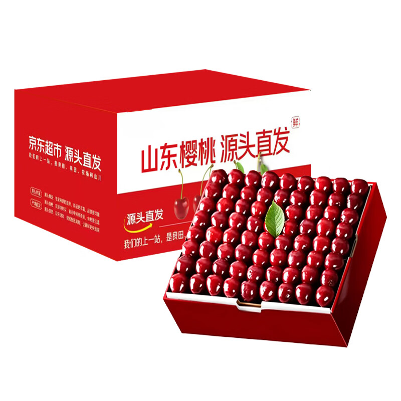 东鲜丰山东大樱桃新鲜车厘子樱桃水果实惠装送礼山东特产 4斤(净重) 单果【20-26mm】