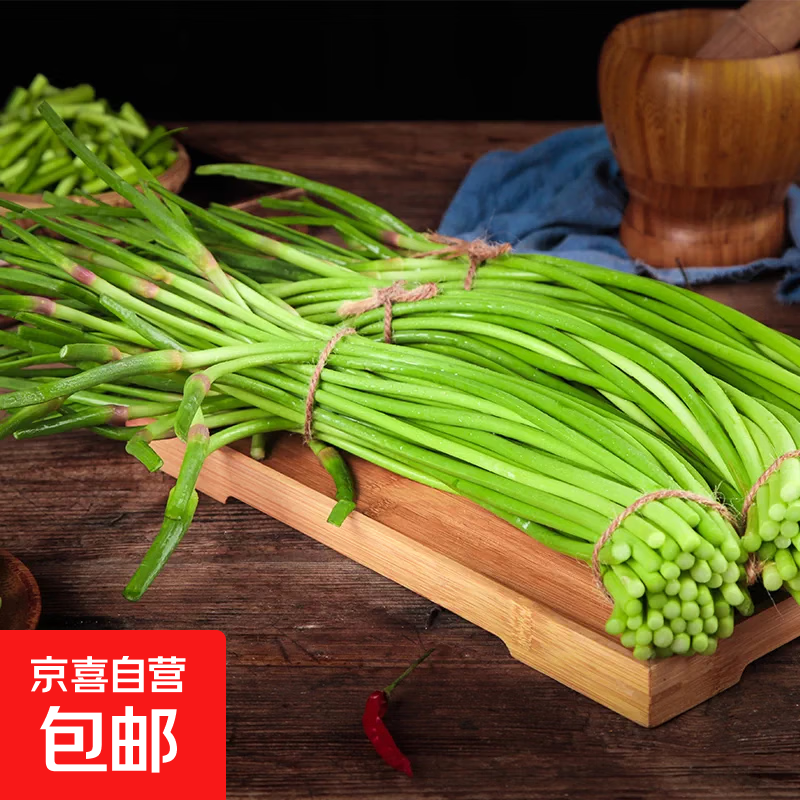新鲜红帽短蒜薹蒜苔蔬菜产地直发炒菜时令蔬菜（20-30厘米） 带箱一斤