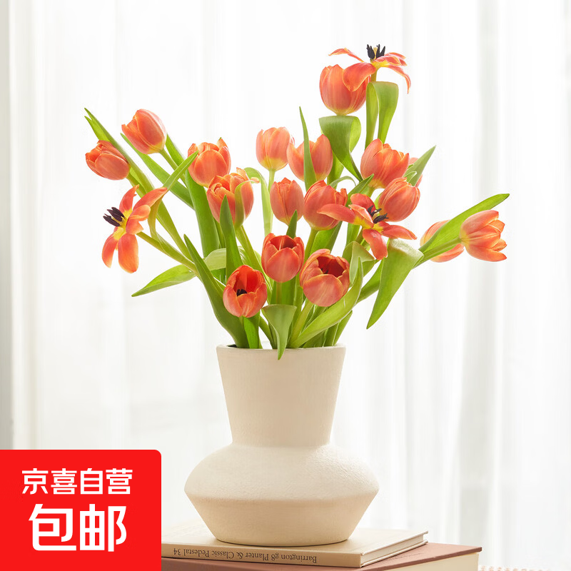 郁金香鲜花随机色云南源头直发 【顺丰冷链】郁金香盲盒20枝