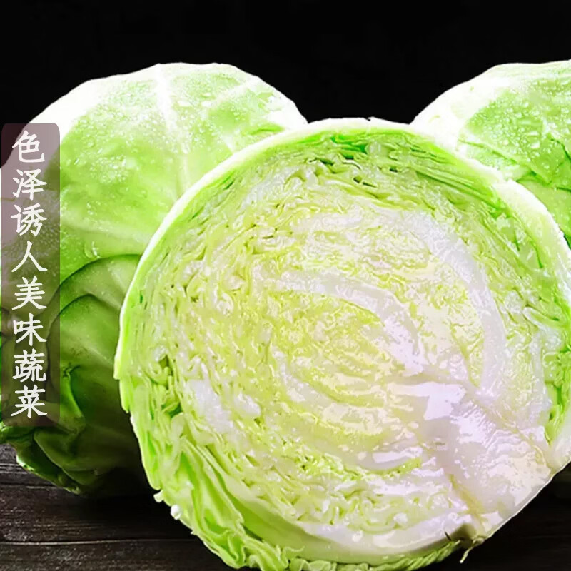 薏品甄鲜新鲜包菜卷心菜绿甘蓝生鲜蔬菜沙拉 农家自种源头直发 4.5-5斤带箱