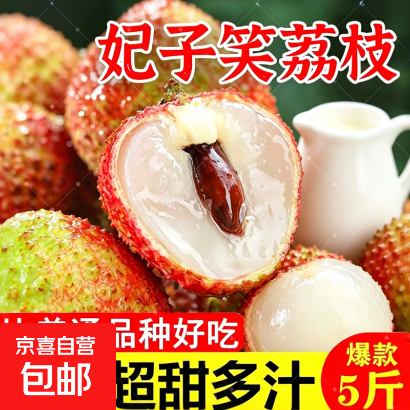 海南新鲜荔枝妃子笑生鲜水果冷链发货 海南妃子笑（带箱5斤）净重4斤单果15g