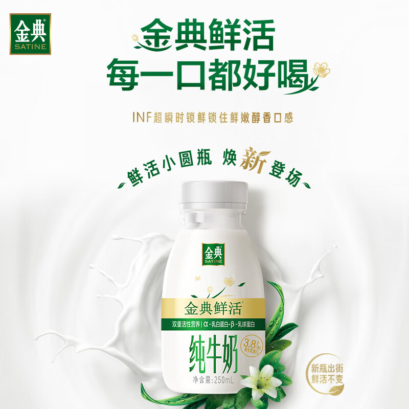 伊利金典3.8g乳蛋白鲜活纯牛奶250ml*8 30天常温短保 礼盒装