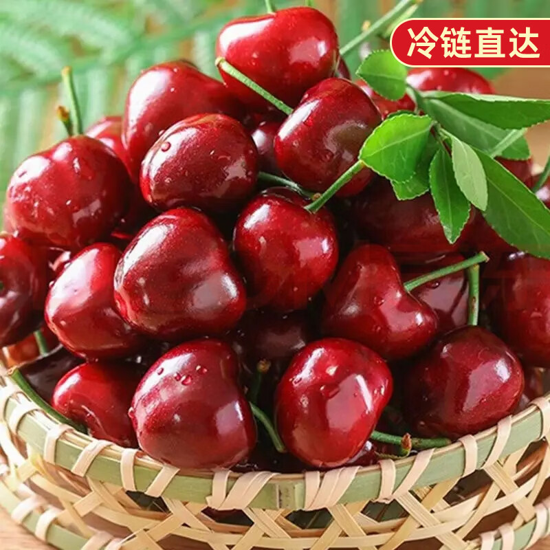 耀好山东樱桃国产新鲜樱桃水果樱桃酸甜可口整箱时令鲜果整箱冷链发货 4.5斤(净重) 【大果】 24-28mm 冷链发