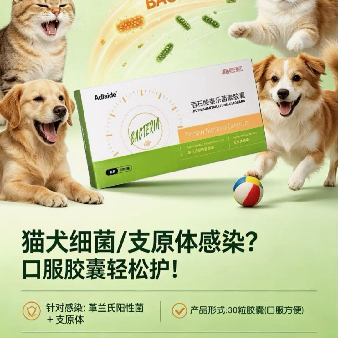 DC酒石酸泰乐菌素胶囊宠物猫狗感冒咳嗽猫鼻支衣支源体一盒30粒 医院直发一盒
