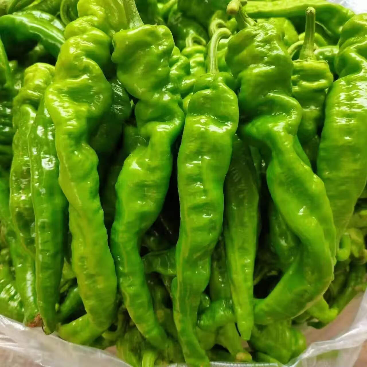 【云南螺丝椒】青辣椒现摘薄皮微辣生鲜蔬菜彩椒辣椒辣椒 带箱3斤