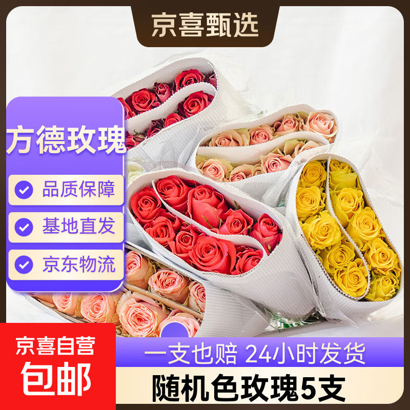 【方德玫瑰】云南鲜花基地直发玫瑰花鲜切38妇女节女神节生日礼物 随机玫瑰5枝