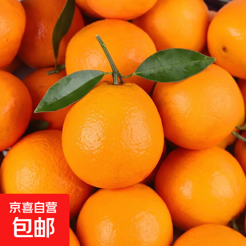 正宗纽荷尔脐橙8斤装新鲜孕妇水果湖南应当季手剥冰糖甜橙子整箱 带箱8斤85mm+橙王优选装