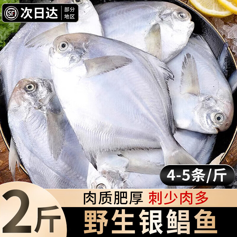 百库大银鲳鱼 新鲜冷冻鲳鱼平鱼深海捕捞生鲜鱼类烧烤食材批发商用 银鲳鱼2斤（4-5条/斤）净重