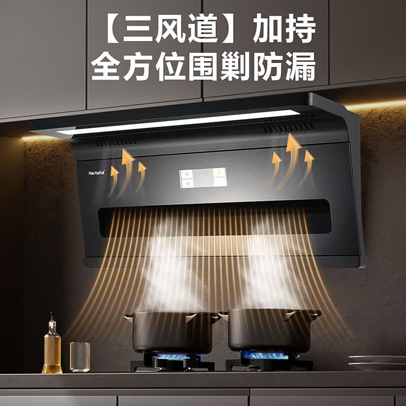 Haotaitai油烟机变频顶侧双吸抽油烟机家用厨房大吸力吸油烟机烟灶套装 JS98-BP烟机+2419-S单定时定温九腔灶