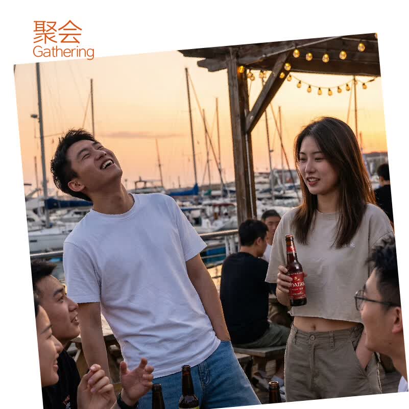 Easycheers啤酒组合装全进口高端多国精酿啤酒礼盒白啤ipa黑啤无醇混合啤酒 全进口组合 330mL 12瓶 礼盒装