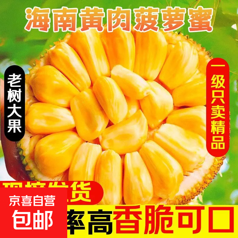 海南黄肉菠萝蜜水果特产生鲜鲜果一整个干包老树京东快递 净重18-22斤【生果勿切】