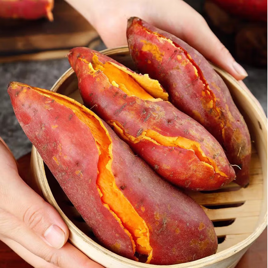 佑嘉木现挖沙地西瓜红蜜薯红薯新鲜农家糖心番薯烤地瓜山芋软糯批发包邮 净重4.5斤