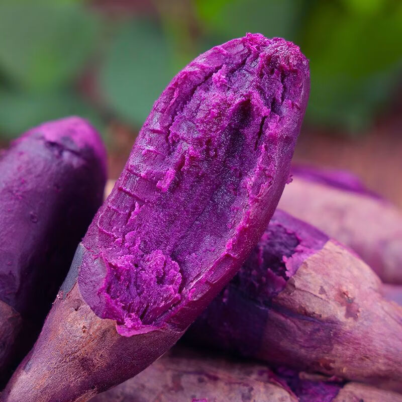 湛江现挖海山香薯新鲜蜜薯低脂粗粮小紫薯沙地紫薯新鲜软糯紫心薯 【粗粮代餐】湛江小紫薯  净重4.5斤