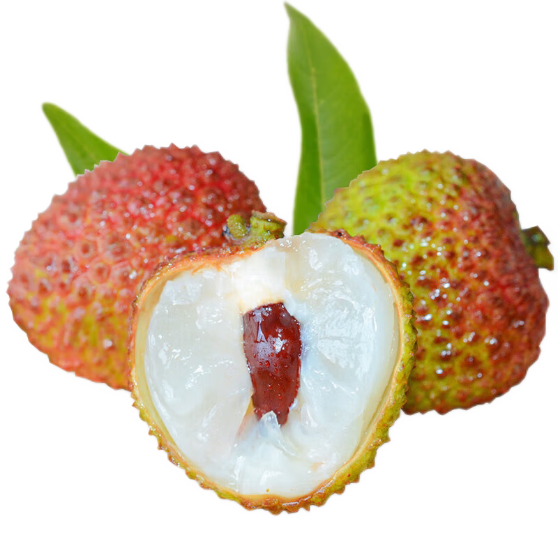 ���ʵ���������Ц��֦ ����4.5-5�����װ ��ѡ��� ����ˮ�� 31.16Ԫ
