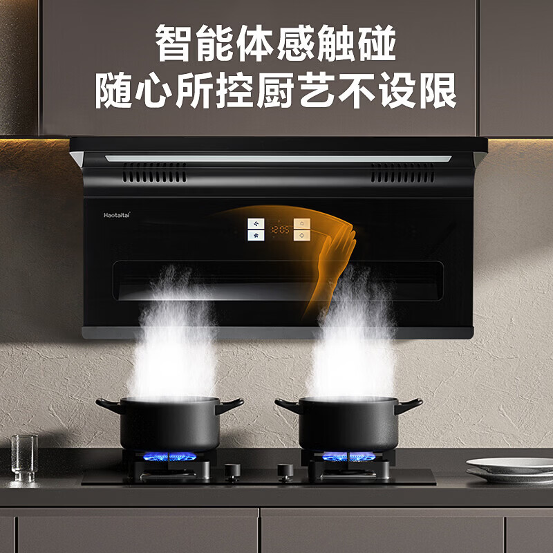 Haotaitai油烟机变频顶侧双吸抽油烟机家用厨房大吸力吸油烟机烟灶套装 JS98-BP烟机+2419-S单定时定温九腔灶