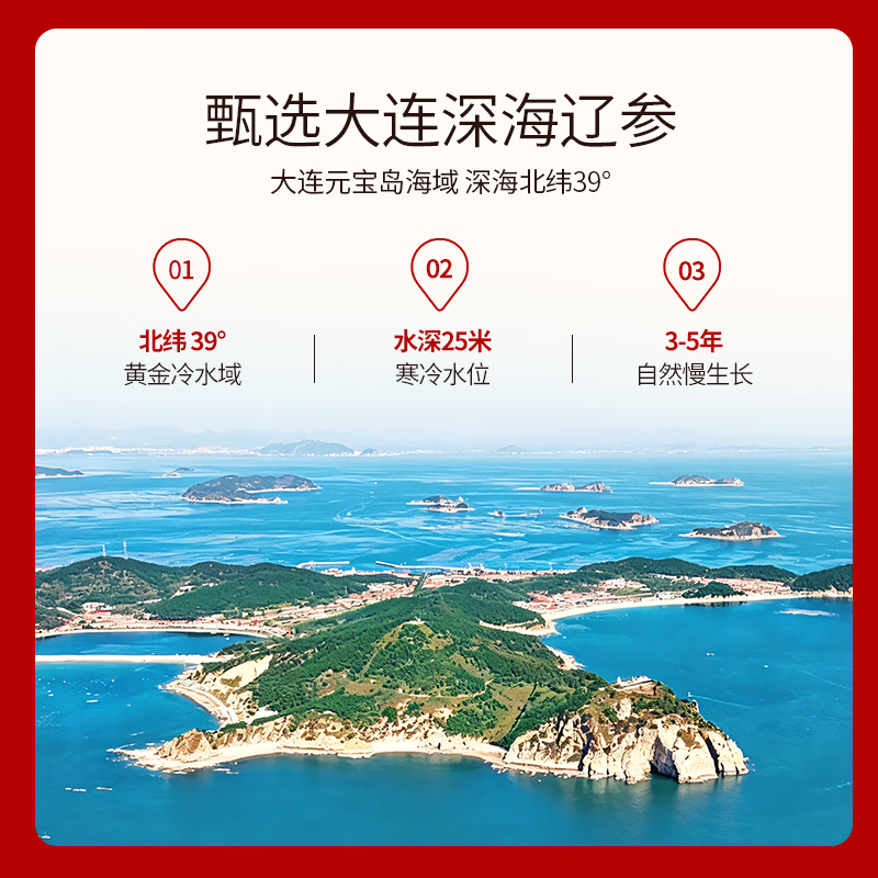 元宝岛大连即食海参 端午礼盒辽刺参独立包装开袋即食非干货海鲜水产 500g10-12只【入门尝鲜款】
