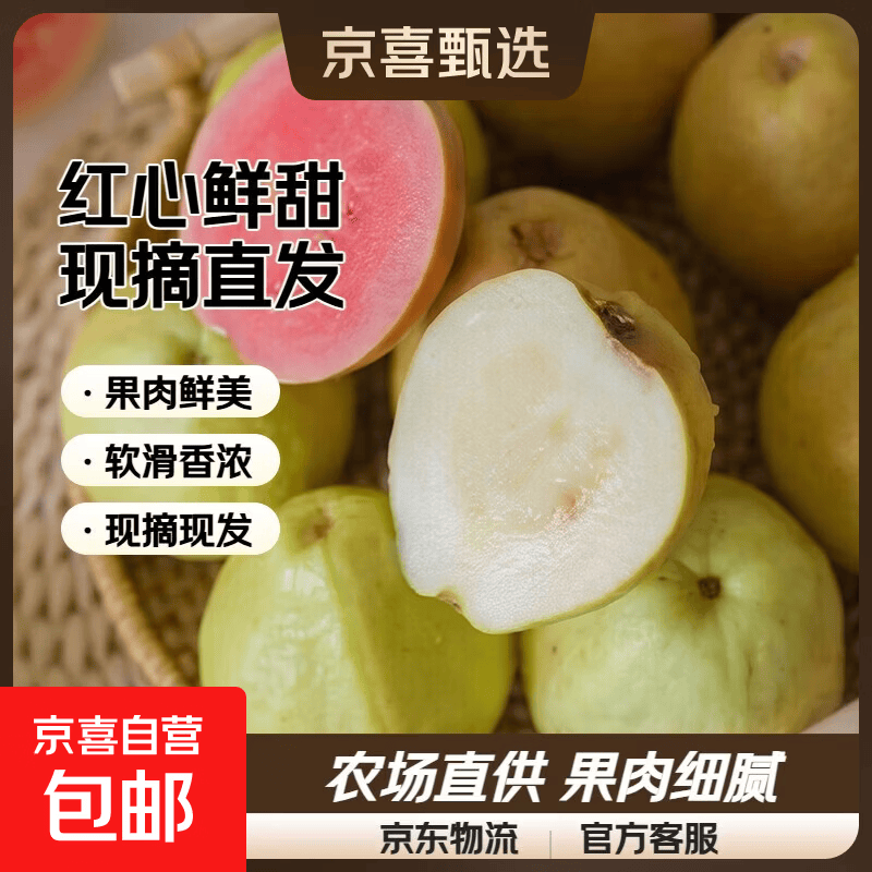 【东东农场专供】新鲜水果白心芭乐整箱出售番石榴现摘现发 带箱2斤 白心芭乐